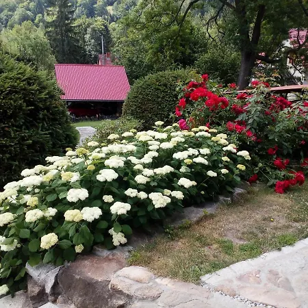 Apartment Apartamencik Na Slonecznej *
